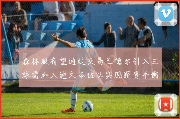 森林狼有望通过交易兰德尔引入三球需加入迪文岑佐以实现薪资平衡