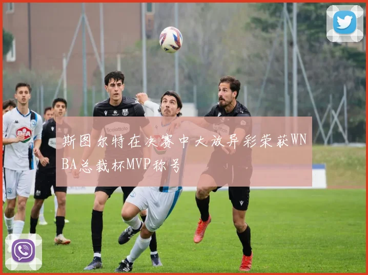 斯图尔特在决赛中大放异彩荣获WNBA总裁杯MVP称号